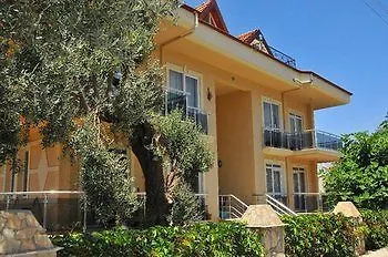 California 4*