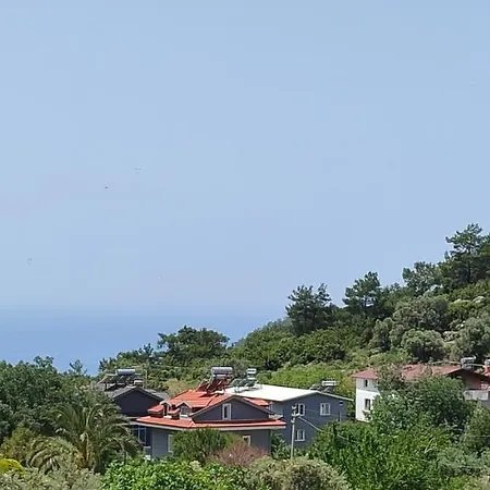 California 아파트호텔 4*